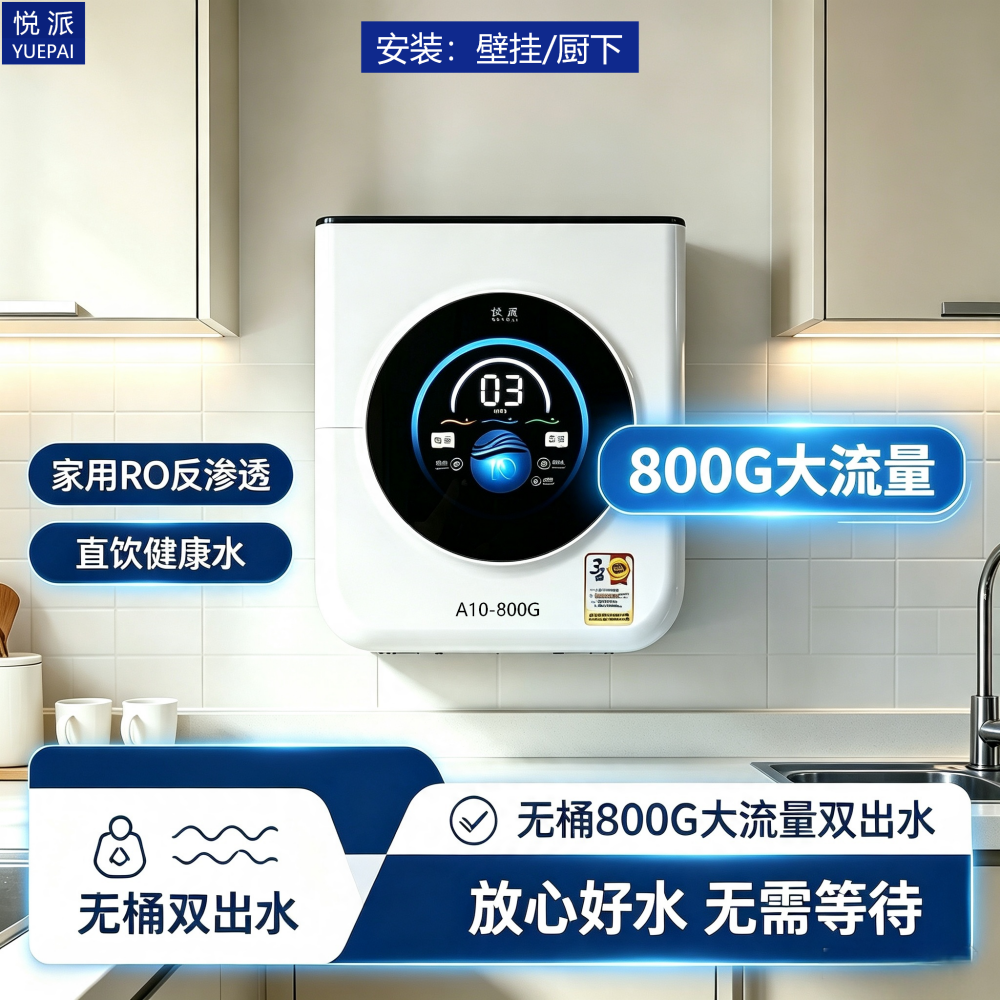 A10-800G-(4)(1).png