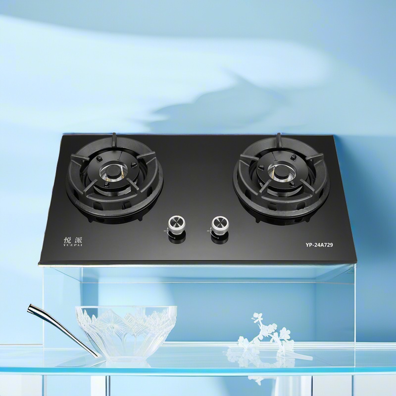 YP-24A729(西班牙进口配置)