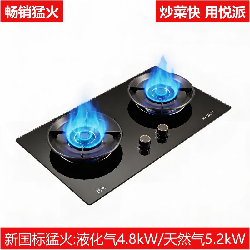 YP-25A741（猛火•畅销爆款）一级能效/70%热效率